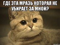 Где эта мразь которая не убирает за мной? 