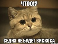 Чтоо!? Седня не будет вискоса