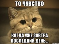 То чувство Когда уже завтра последний день...