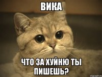 Вика что за хуйню ты пишешь?