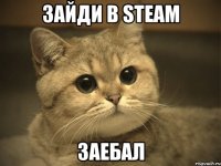 Зайди в STEAM ЗАЕБАЛ