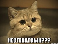  нестеватсын???