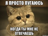 Я просто пугаюсь Когда ты мне не отвечаешь