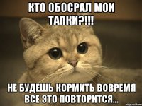 Кто обосрал мои тапки?!!! Не будешь кормить вовремя все это повторится...