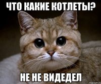 Что какие котлеты? Не не видедел