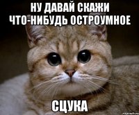 НУ ДАВАЙ СКАЖИ ЧТО-НИБУДЬ ОСТРОУМНОЕ СЦУКА