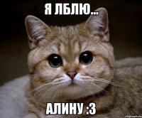 я лблю... Алину :З