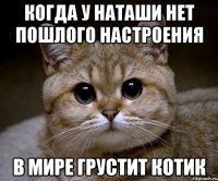 Когда у наташи нет пошлого настроения В мире грустит котик