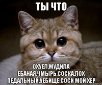 ты что охуел,мудила ебаная,чмырь,соска,лох педальный,уебище,соси мой хер