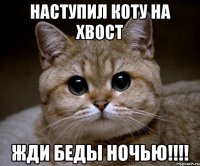 Наступил коту на хвост Жди беды ночью!!!!