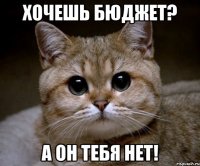 Хочешь бюджет? А он тебя нет!