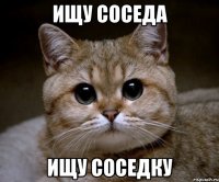 ищу соседа ищу соседку