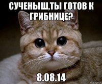 Сученыш,ты готов к Грибнице? 8.08.14