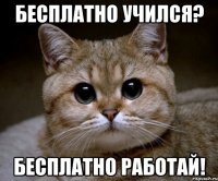 бесплатно учился? бесплатно работай!