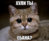 Хули ты Ебана?