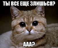 Ты все еще злишься? Ааа?