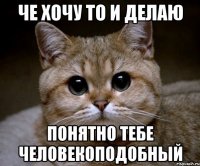 Че хочу то и делаю Понятно тебе человекоподобный