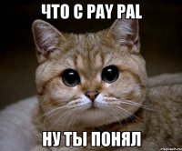 что с Раy Pal ну ты понял