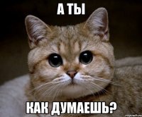 а ты как думаешь?