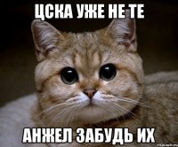 ЦСКА уже не те Анжел забудь их