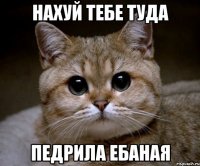 Нахуй тебе туда Педрила ебаная