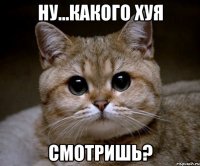 ну...какого хуя смотришь?