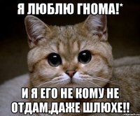 я люблю гнома!* и я его не кому не отдам,даже шлюхе!!