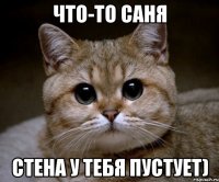 Что-то Саня Стена у тебя пустует)