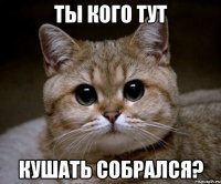 Ты кого тут кушать собрался?