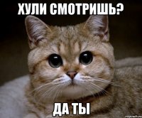 Хули смотришь? Да ты