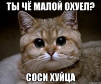 ты чё малой охуел? соси хуйца