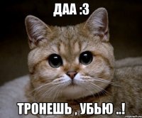 Даа :3 тронешь , убью ..!