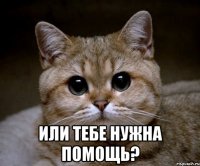  Или тебе нужна помощь?