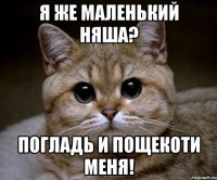 Я же маленький няша? Погладь и пощекоти меня!