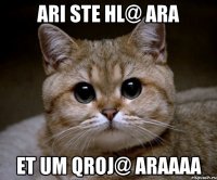 ari ste hl@ ara et um qroj@ araaaa