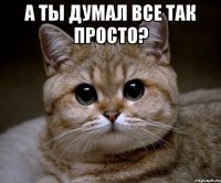 А ты думал все так просто? 