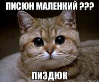 ПИСЮН МАЛЕНКИЙ ??? ПИЗДЮК