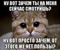 Ну вот зачем ты на меня сейчас смотришь? Ну вот просто зачем, от этого же нет пользы?