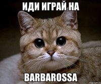 иДИ ИГРАЙ НА BARBAROSSA