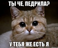 ты че, педрила? у тебя же есть я