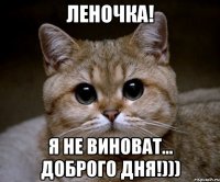 Леночка! я не виноват... Доброго Дня!)))