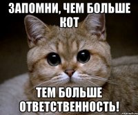 запомни, чем больше кот тем больше ответственность!