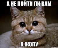 а не пойти ли вам в жопу