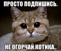 просто подпишись. не огорчай котика..