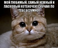 мой любимый, самый нежный и ласковый котеночек! Скучаю по тебе безумно! 