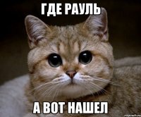 где рауль а вот нашел