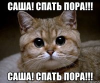 Саша! Спать пора!!! Саша! Спать пора!!!