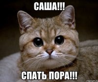 Саша!!! Спать пора!!!