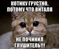 Котику грустно, потому что Виталя НЕ ПОЧИНИЛ ГЛУШИТЕЛЬ!!!