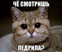 Чё смотришь педрила?